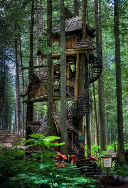conservative treehouse 
