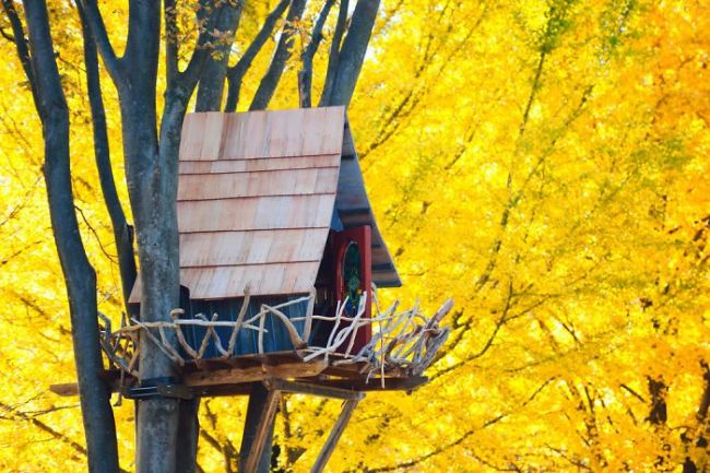 how to build a treehouse 