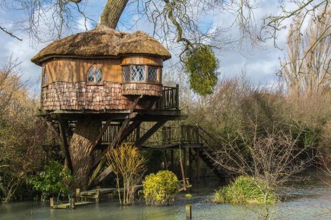 conservative treehouse 