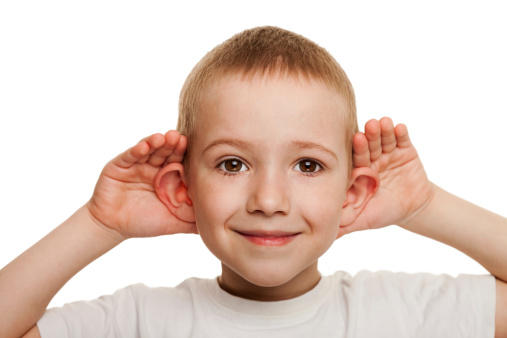 bagian telinga dan fungsinya