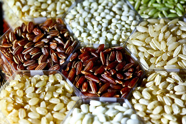 contoh Keanekaragaman hayati tingkat gen pada padi